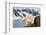 Norway, Spitsbergen, Fuglefjorden. Polar Bear Along a Rocky Shore-Steve Kazlowski-Framed Photographic Print