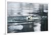 Norway, Spitsbergen, Fuglefjorden. Polar Bear Swimming-Steve Kazlowski-Framed Photographic Print