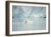 Norway, Spitsbergen, Fuglefjorden. Polar Bear Swimming-Steve Kazlowski-Framed Photographic Print