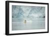 Norway, Spitsbergen, Fuglefjorden. Polar Bear Swimming-Steve Kazlowski-Framed Photographic Print