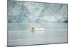 Norway, Spitsbergen, Fuglefjorden. Polar Bear Swimming-Steve Kazlowski-Mounted Photographic Print