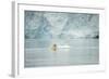 Norway, Spitsbergen, Fuglefjorden. Polar Bear Swimming-Steve Kazlowski-Framed Photographic Print