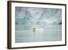 Norway, Spitsbergen, Fuglefjorden. Polar Bear Swimming-Steve Kazlowski-Framed Photographic Print