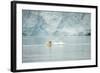 Norway, Spitsbergen, Fuglefjorden. Polar Bear Swimming-Steve Kazlowski-Framed Photographic Print