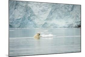 Norway, Spitsbergen, Fuglefjorden. Polar Bear Swimming-Steve Kazlowski-Mounted Photographic Print