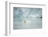 Norway, Spitsbergen, Fuglefjorden. Polar Bear Swimming-Steve Kazlowski-Framed Photographic Print