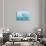 Norway, Spitsbergen. Iceberg Floating Along Northwest Coast-Steve Kazlowski-Photographic Print displayed on a wall