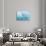 Norway, Spitsbergen. Iceberg Floating Along Northwest Coast-Steve Kazlowski-Stretched Canvas displayed on a wall