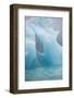 Norway, Spitsbergen. Iceberg Floating Along Northwest Coast-Steve Kazlowski-Framed Photographic Print