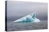Norway, Spitsbergen. Iceberg Floating Along the Coast in Summer-Steve Kazlowski-Stretched Canvas