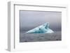 Norway, Spitsbergen. Iceberg Floating Along the Coast in Summer-Steve Kazlowski-Framed Premium Photographic Print