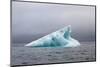 Norway, Spitsbergen. Iceberg Floating Along the Coast in Summer-Steve Kazlowski-Mounted Premium Photographic Print