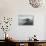 Norway, Spitsbergen, Nordauslandet. Walrus Group Rests on Sea Ice-Steve Kazlowski-Photographic Print displayed on a wall