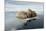 Norway, Spitsbergen, Nordauslandet. Walrus Group Rests on Sea Ice-Steve Kazlowski-Mounted Photographic Print