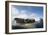 Norway, Spitsbergen, Nordauslandet. Walrus Group Rests on Sea Ice-Steve Kazlowski-Framed Photographic Print