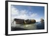 Norway, Spitsbergen, Nordauslandet. Walrus Group Rests on Sea Ice-Steve Kazlowski-Framed Photographic Print