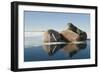 Norway, Spitsbergen, Nordauslandet. Walrus Group Rests on Sea Ice-Steve Kazlowski-Framed Photographic Print