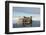 Norway, Spitsbergen, Nordauslandet. Walrus Group Rests on Sea Ice-Steve Kazlowski-Framed Photographic Print