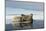 Norway, Spitsbergen, Nordauslandet. Walrus Group Rests on Sea Ice-Steve Kazlowski-Mounted Photographic Print