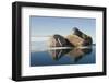 Norway, Spitsbergen, Nordauslandet. Walrus Group Rests on Sea Ice-Steve Kazlowski-Framed Photographic Print