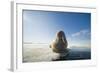 Norway, Spitsbergen, Nordauslandet. Walrus Resting on Pack Ice-Steve Kazlowski-Framed Photographic Print