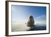 Norway, Spitsbergen, Nordauslandet. Walrus Resting on Pack Ice-Steve Kazlowski-Framed Photographic Print