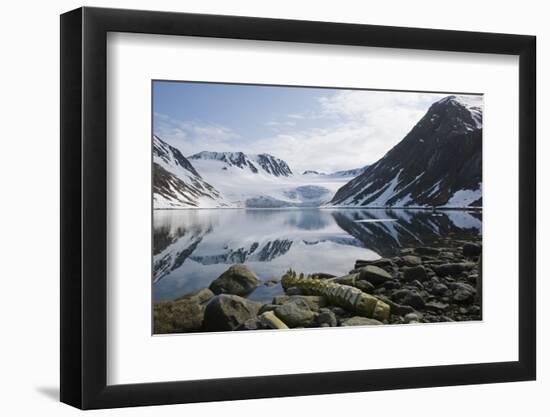 Norway, Spitsbergen, Sallyhammna. Vertebrae of a Fin Whale on a Beach-Steve Kazlowski-Framed Photographic Print