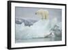 Norway, Spitsbergen, Woodfjorden. Polar Bear Atop a Glacial Ice Floe-Steve Kazlowski-Framed Photographic Print