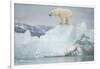 Norway, Spitsbergen, Woodfjorden. Polar Bear Atop a Glacial Ice Floe-Steve Kazlowski-Framed Photographic Print