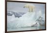 Norway, Spitsbergen, Woodfjorden. Polar Bear Atop a Glacial Ice Floe-Steve Kazlowski-Framed Photographic Print