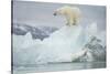 Norway, Spitsbergen, Woodfjorden. Polar Bear Atop a Glacial Ice Floe-Steve Kazlowski-Stretched Canvas