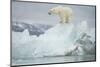 Norway, Spitsbergen, Woodfjorden. Polar Bear Atop a Glacial Ice Floe-Steve Kazlowski-Mounted Premium Photographic Print