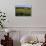 Norway Spruce (Christmas Tree) Plantation, Ry, Lake District, Jutland, Denmark, Scandinavia, Europe-Stuart Black-Photographic Print displayed on a wall