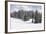 Norway Spruce Forest in Winter Snow-null-Framed Photographic Print