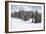 Norway Spruce Forest in Winter Snow-null-Framed Photographic Print
