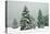 Norway Spruce in Heavy Snow-null-Stretched Canvas