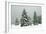 Norway Spruce in Heavy Snow-null-Framed Photographic Print