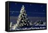 Norway Spruce Tree with Lights On-null-Framed Stretched Canvas