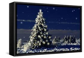 Norway Spruce Tree with Lights On-null-Framed Stretched Canvas