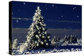 Norway Spruce Tree with Lights On-null-Stretched Canvas