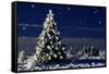 Norway Spruce Tree with Lights On-null-Framed Stretched Canvas