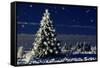 Norway Spruce Tree with Lights On-null-Framed Stretched Canvas
