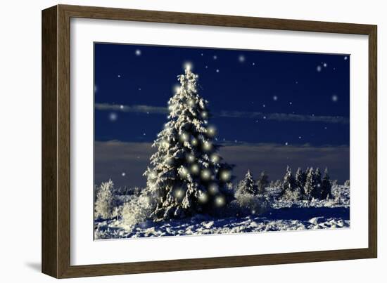 Norway Spruce Tree with Lights On-null-Framed Photographic Print