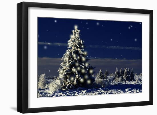 Norway Spruce Tree with Lights On-null-Framed Photographic Print