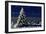 Norway Spruce Tree with Lights On-null-Framed Photographic Print