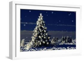 Norway Spruce Tree with Lights On-null-Framed Photographic Print