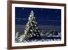 Norway Spruce Tree with Lights On-null-Framed Photographic Print