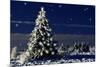 Norway Spruce Tree with Lights On-null-Mounted Photographic Print
