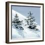 Norway Spruce Tree-null-Framed Photographic Print