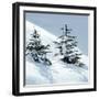 Norway Spruce Tree-null-Framed Photographic Print